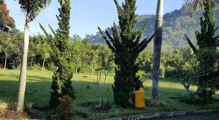 Wisma tamu New Mountain Springs &