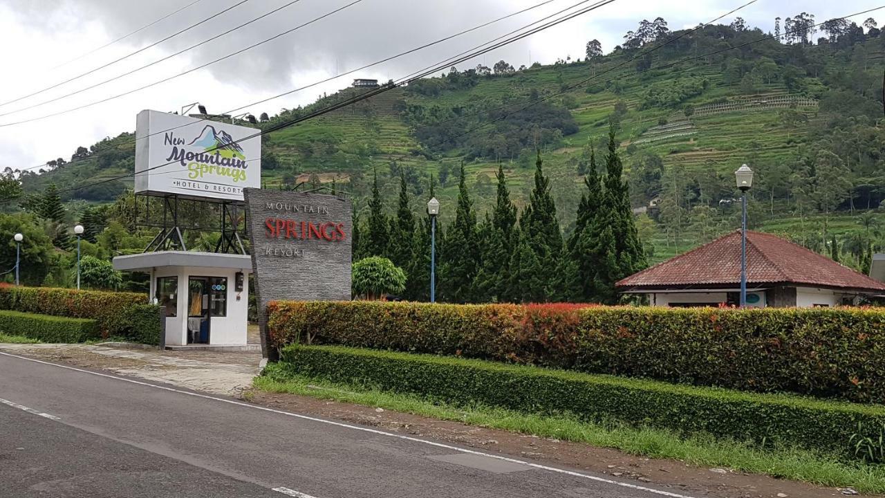 New Mountain Springs & Wisma tamu 3*